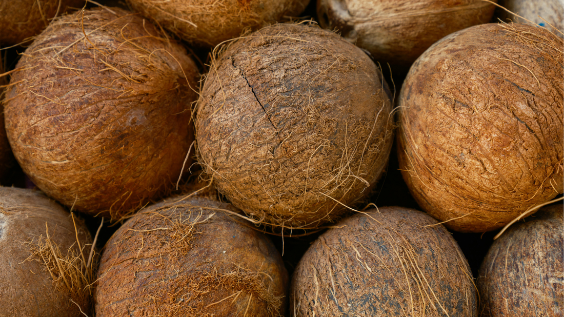 Coco Berry