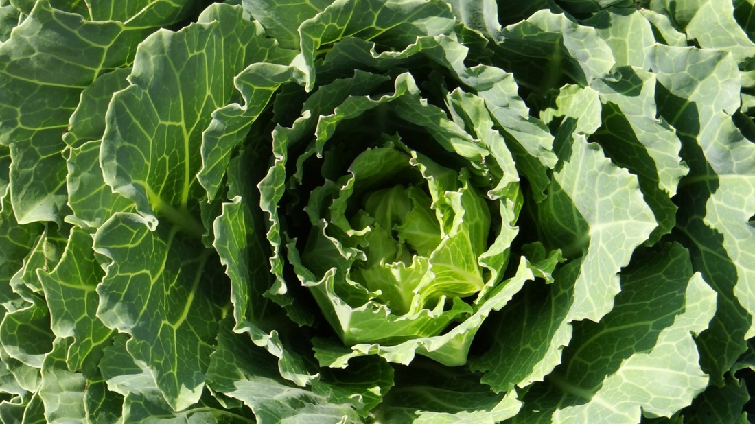 Get Clean Detox
